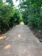 WhatsApp-Image-2026-03-27-at-23.26.33