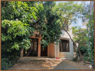 WhatsApp-Image-2026-03-28-at-09.49.39-2