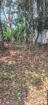 Land for Sale In Kelaniya