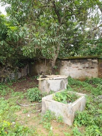 ඉතා අගනා ඉඩමක් විකිනීමට වාද්දුව