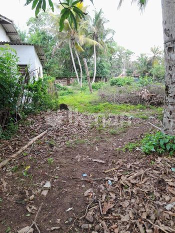 ඉතා අගනා ඉඩමක් විකිනීමට වාද්දුව