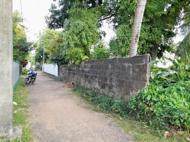 ඉතා අගනා ඉඩමක් විකිනීමට වාද්දුව