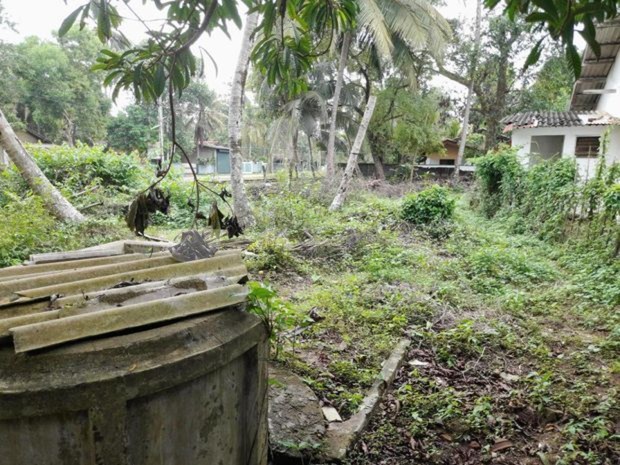 ඉතා අගනා ඉඩමක් විකිනීමට වාද්දුව