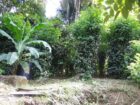 Land with House Sale Wavinna Road Walala