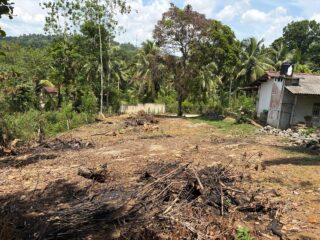 IMG-20260406-WA00201