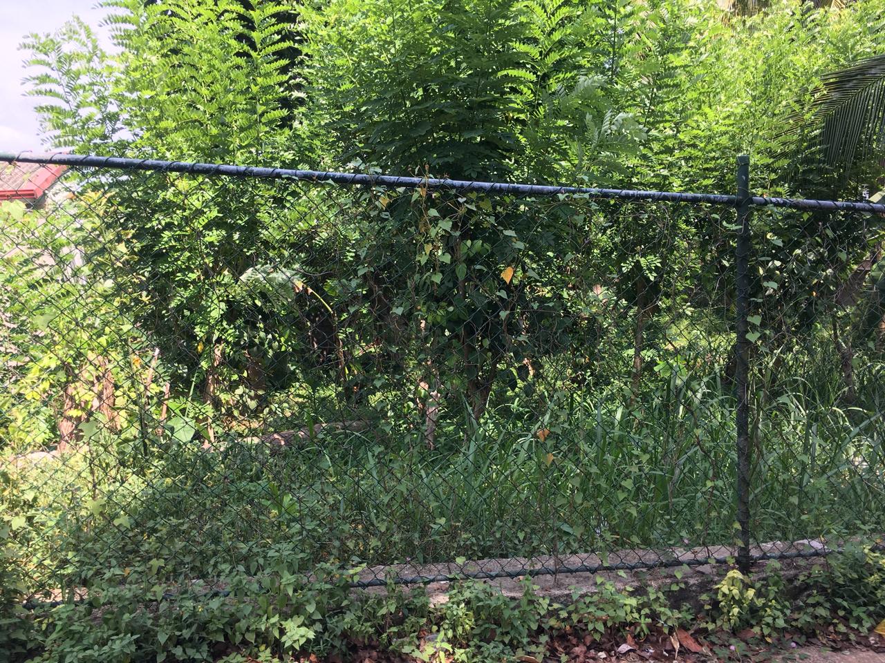 Land for Sale – Hokandara