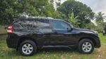 1/9 Toyota Land Cruiser Prado TX 2017