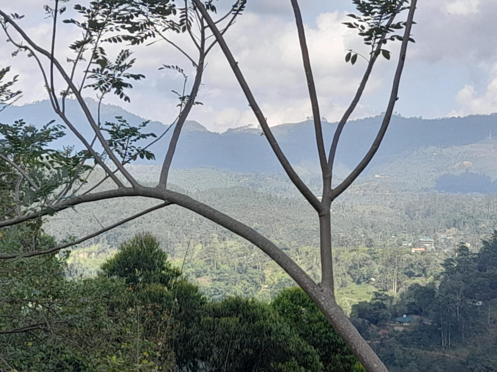 Land for Sale in Ella