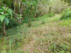 Land for Sale in Ella