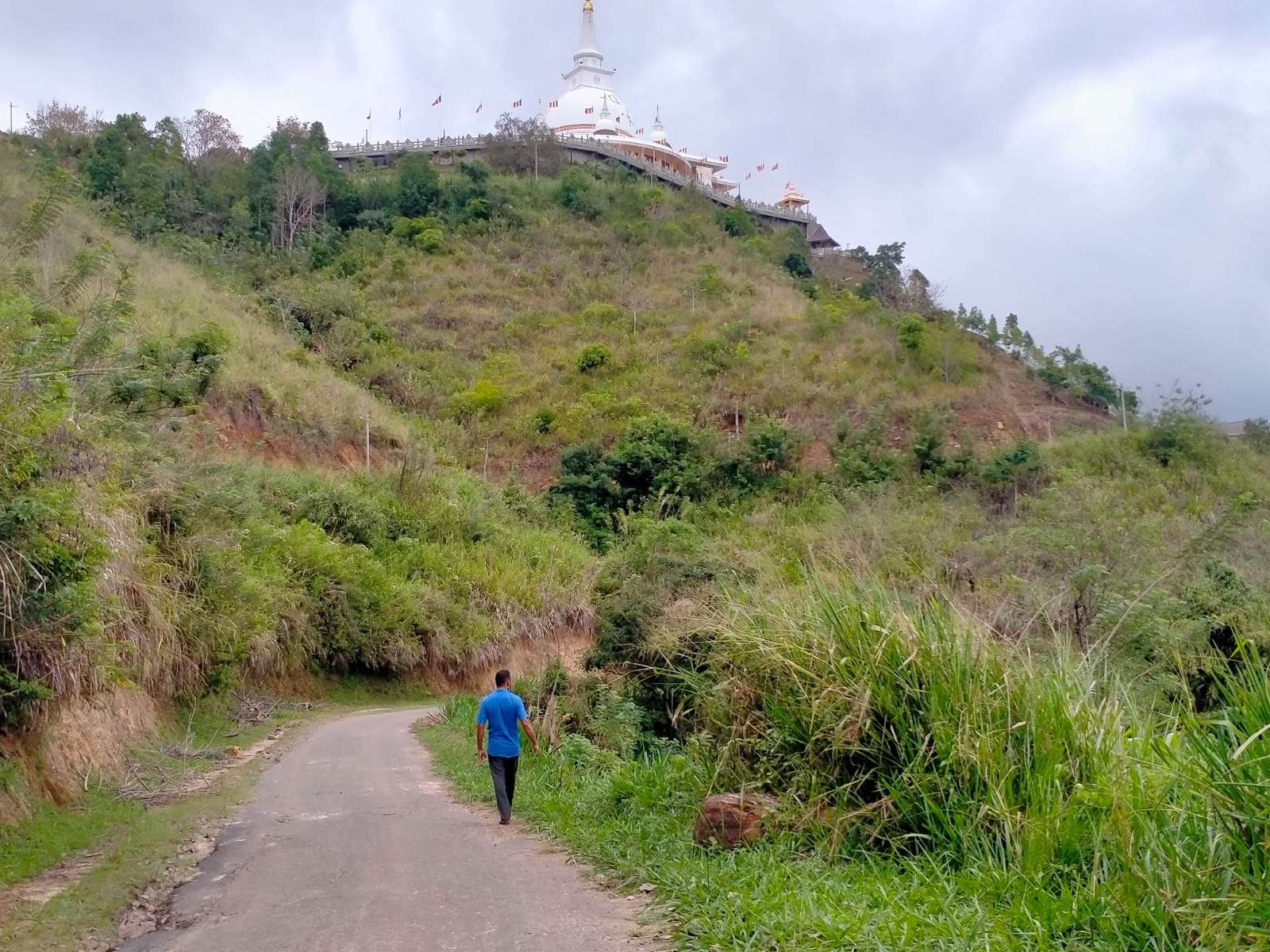 Land for Sale in Ella