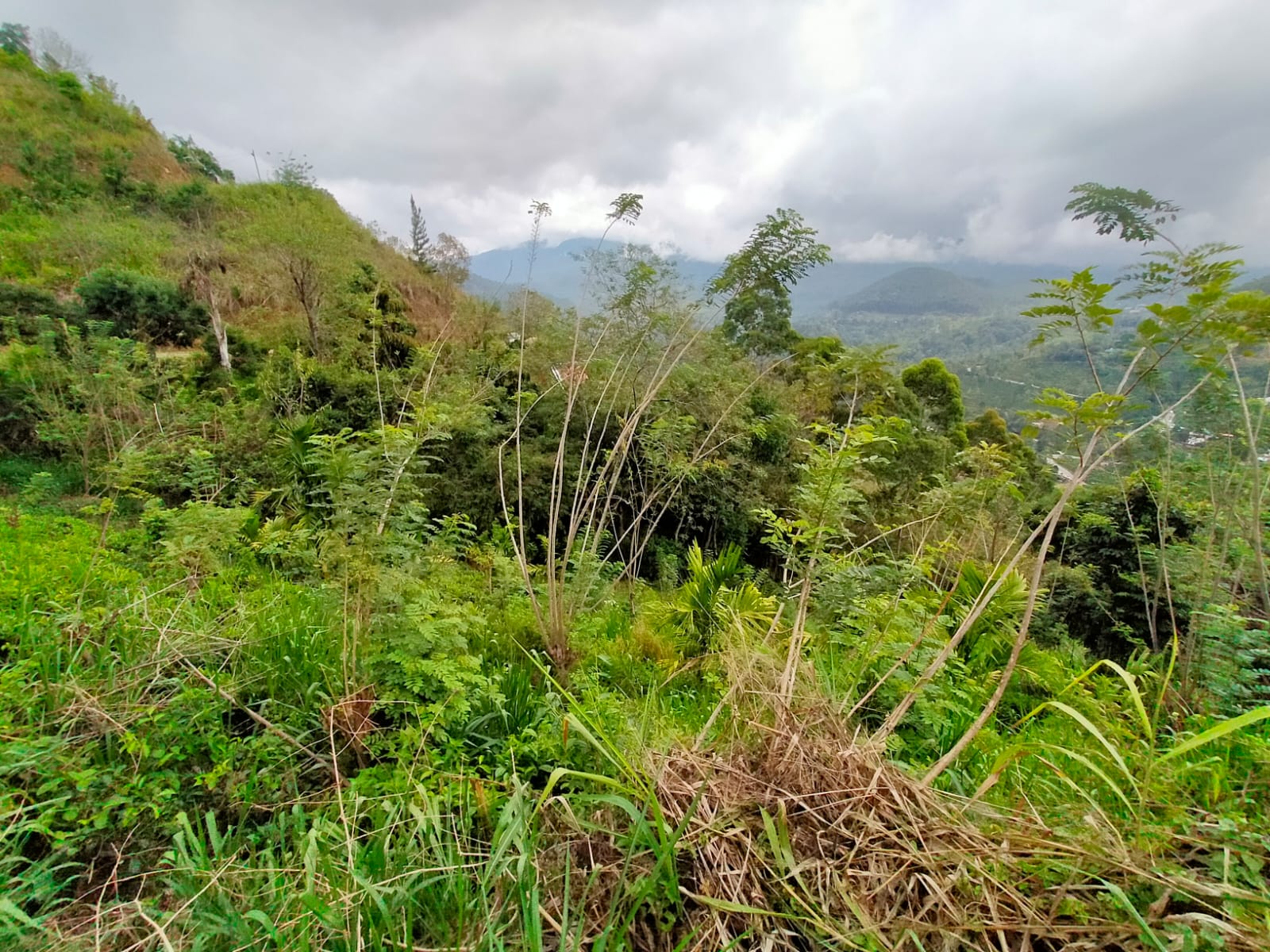 Land for Sale in Ella