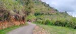 Land for Sale in Ella
