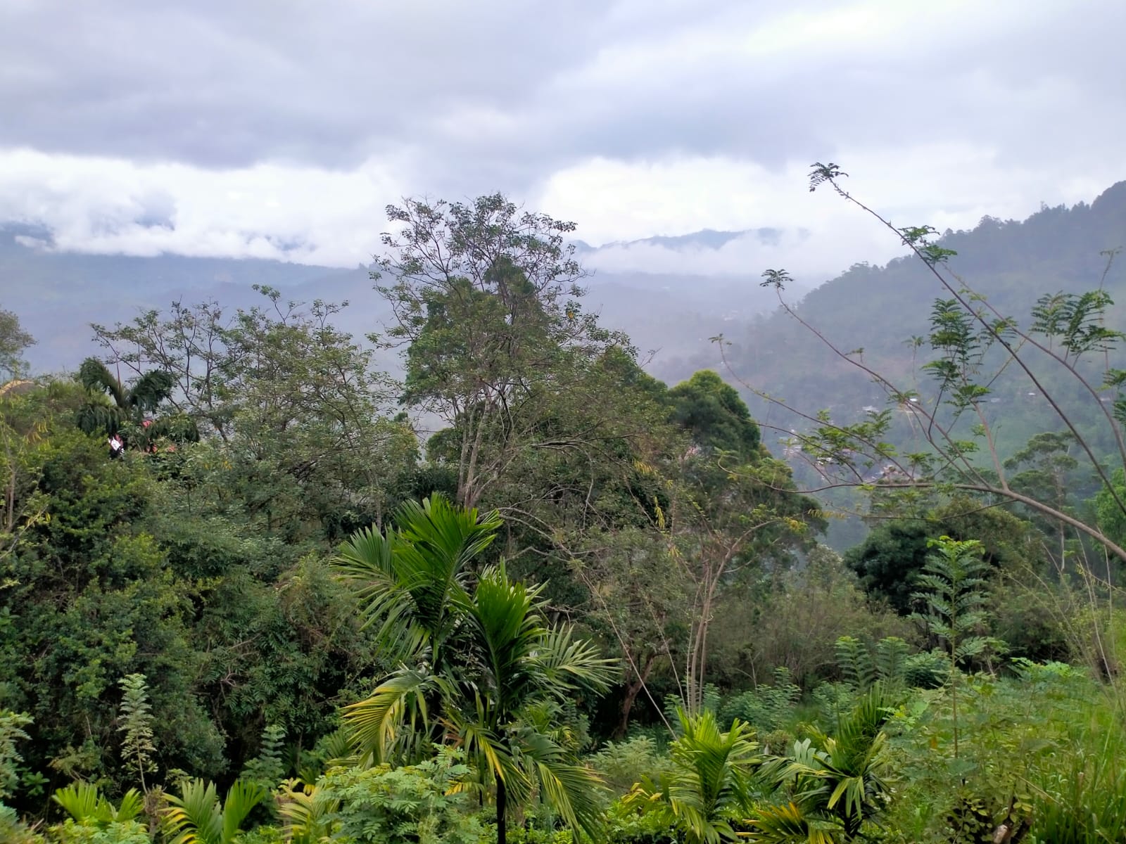 Land for Sale in Ella