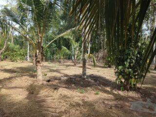 WhatsApp-Image-2026-04-04-at-14.56.36