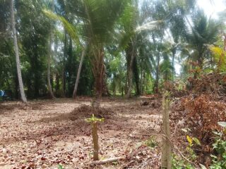 WhatsApp-Image-2026-04-06-at-1.08.31-PM