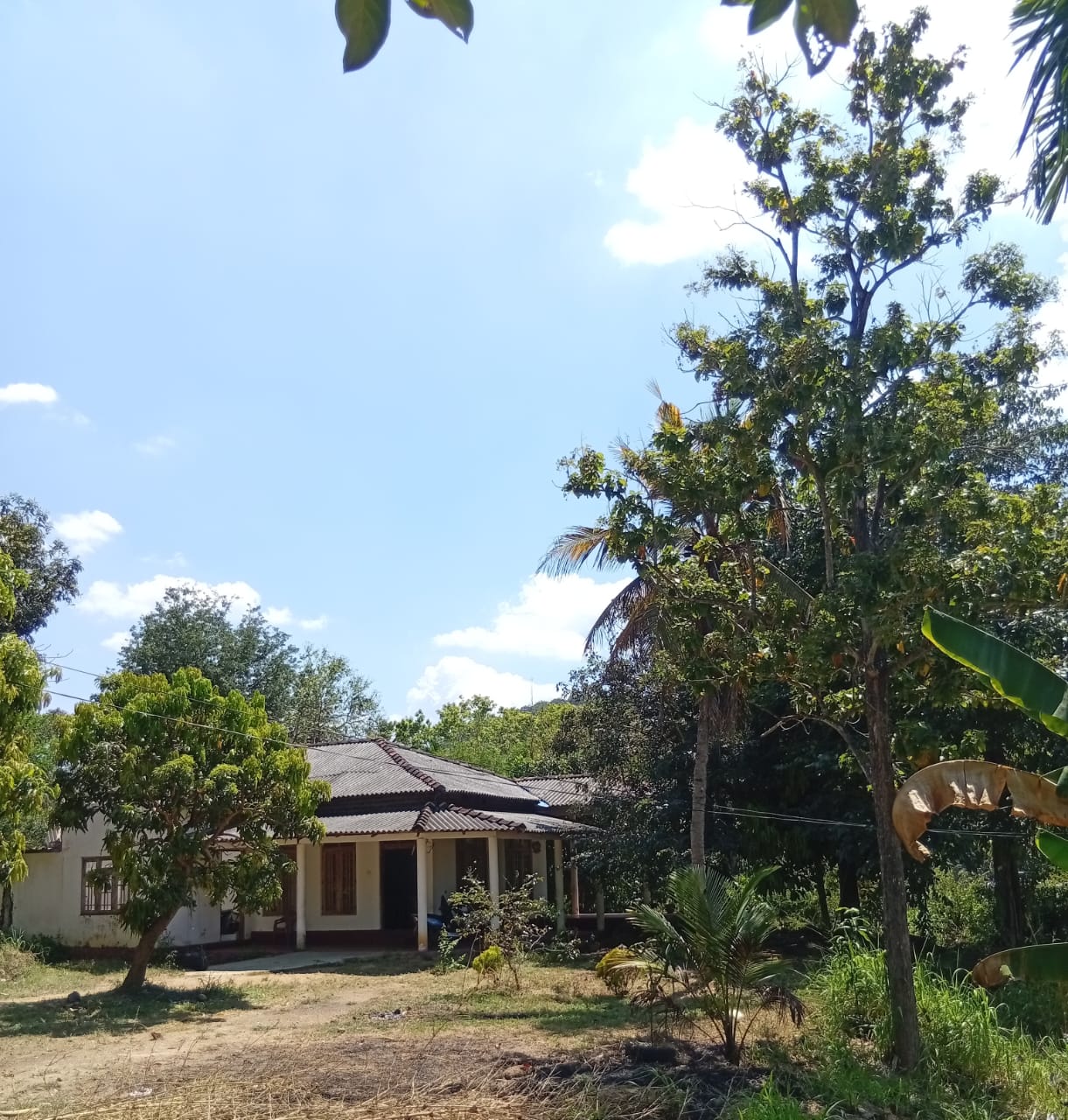 House for Sale in Hingurakgoda, Polonnaruwa