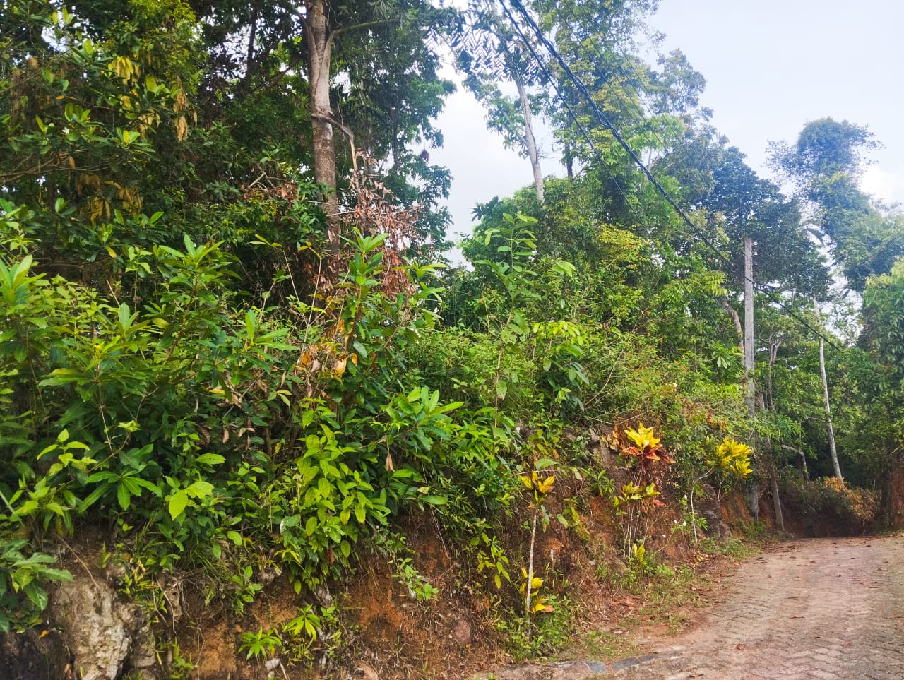 Land For Sale Nittambuwa