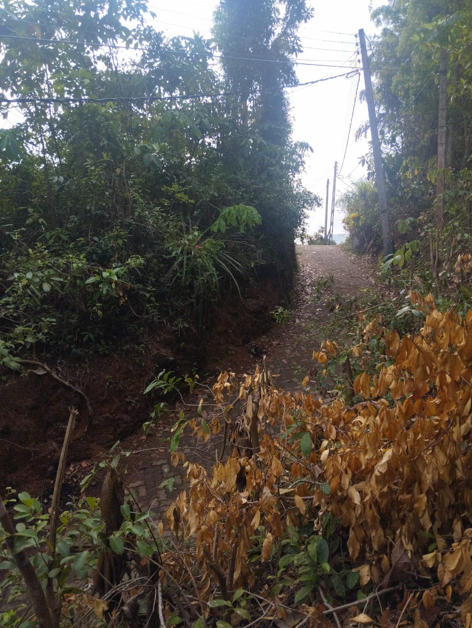 Land For Sale Nittambuwa