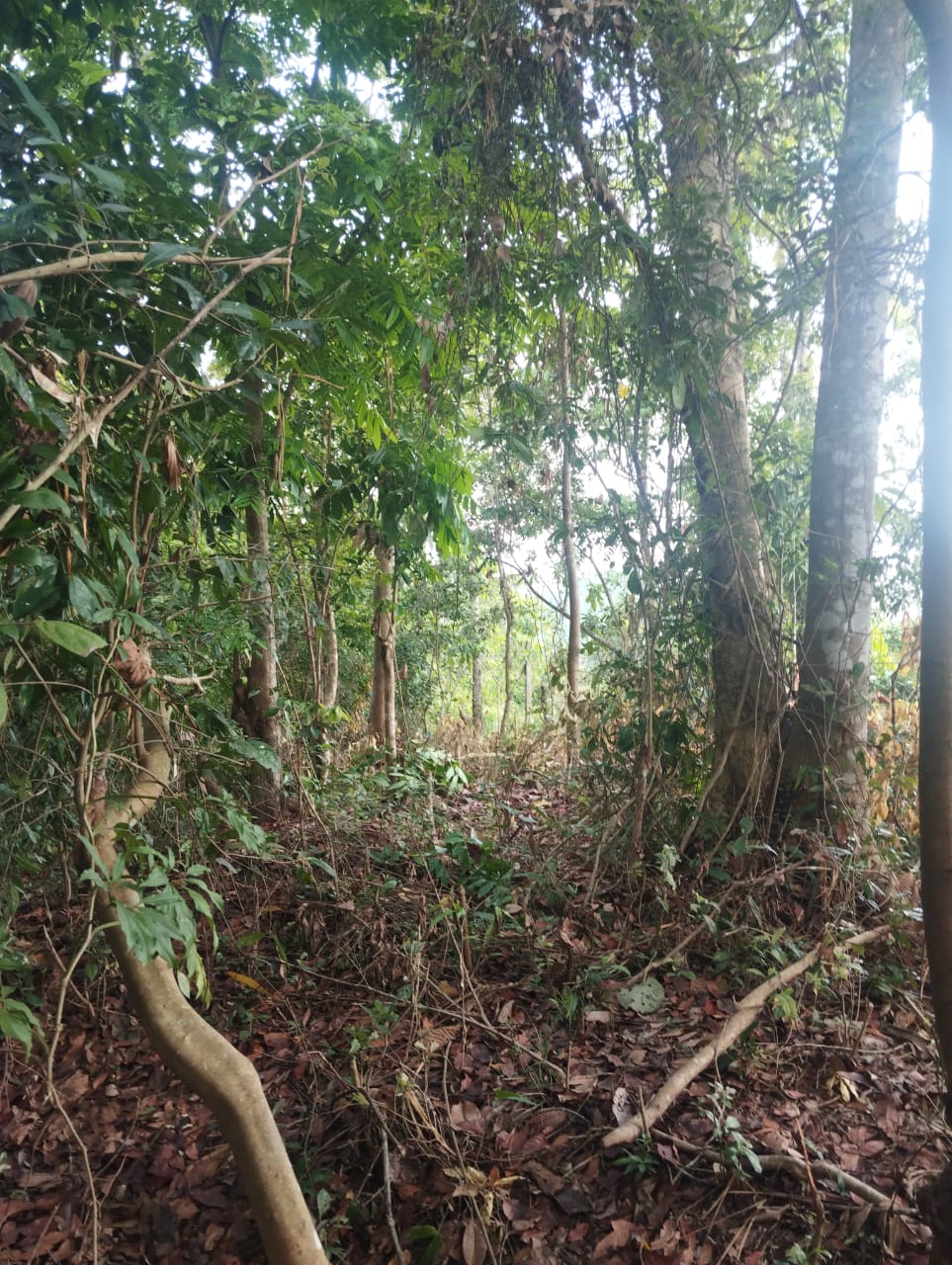 Land For Sale Nittambuwa