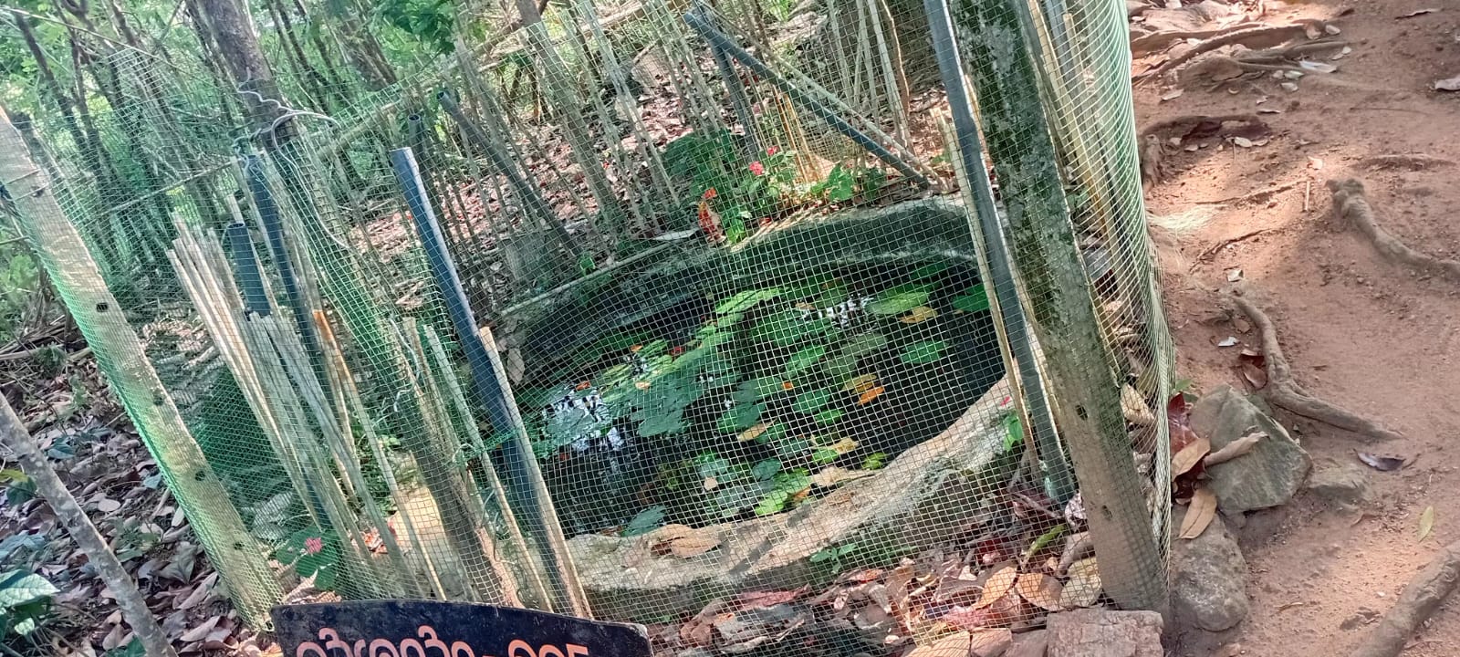 ඉඩම සමඟ විශාල නිවස විකිණීමට බදුල්ල