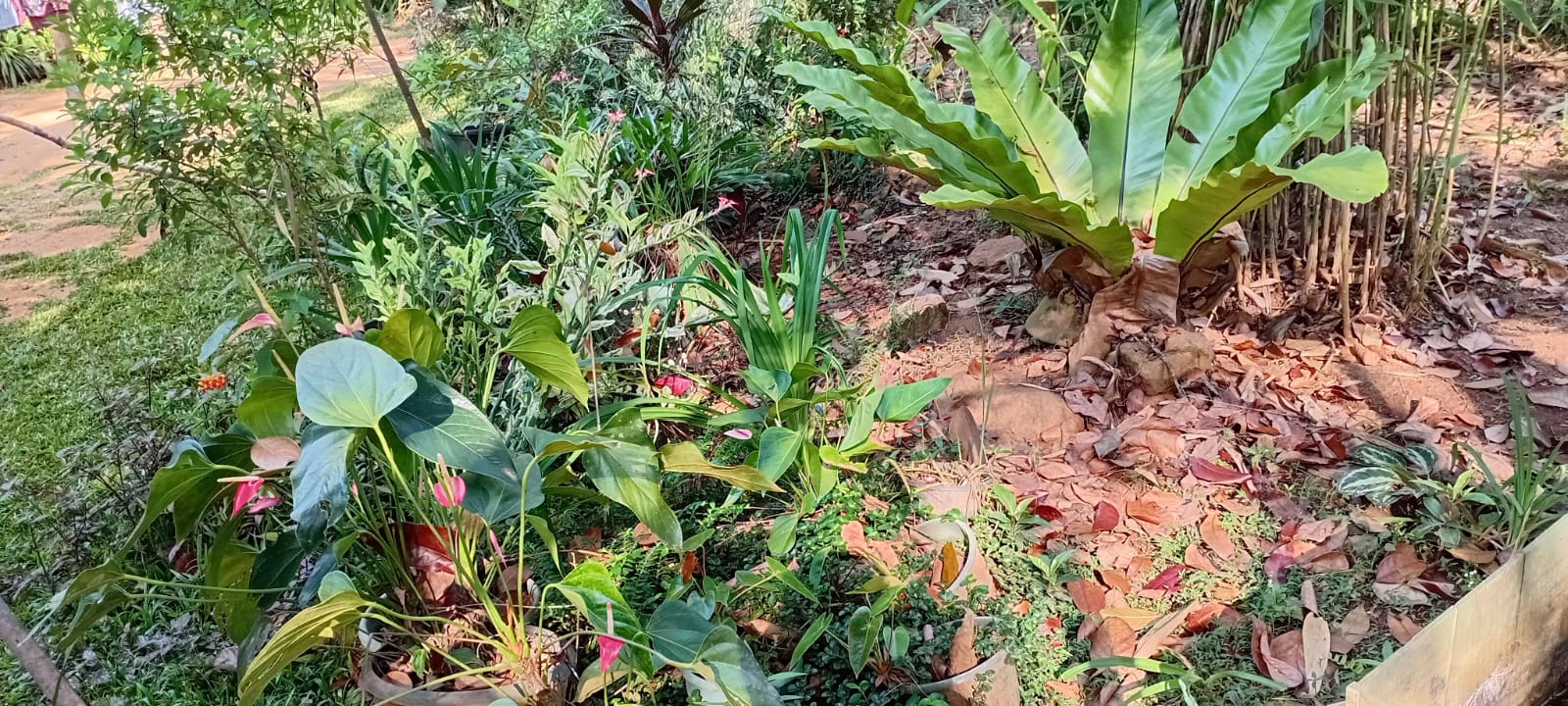 ඉඩම සමඟ විශාල නිවස විකිණීමට බදුල්ල