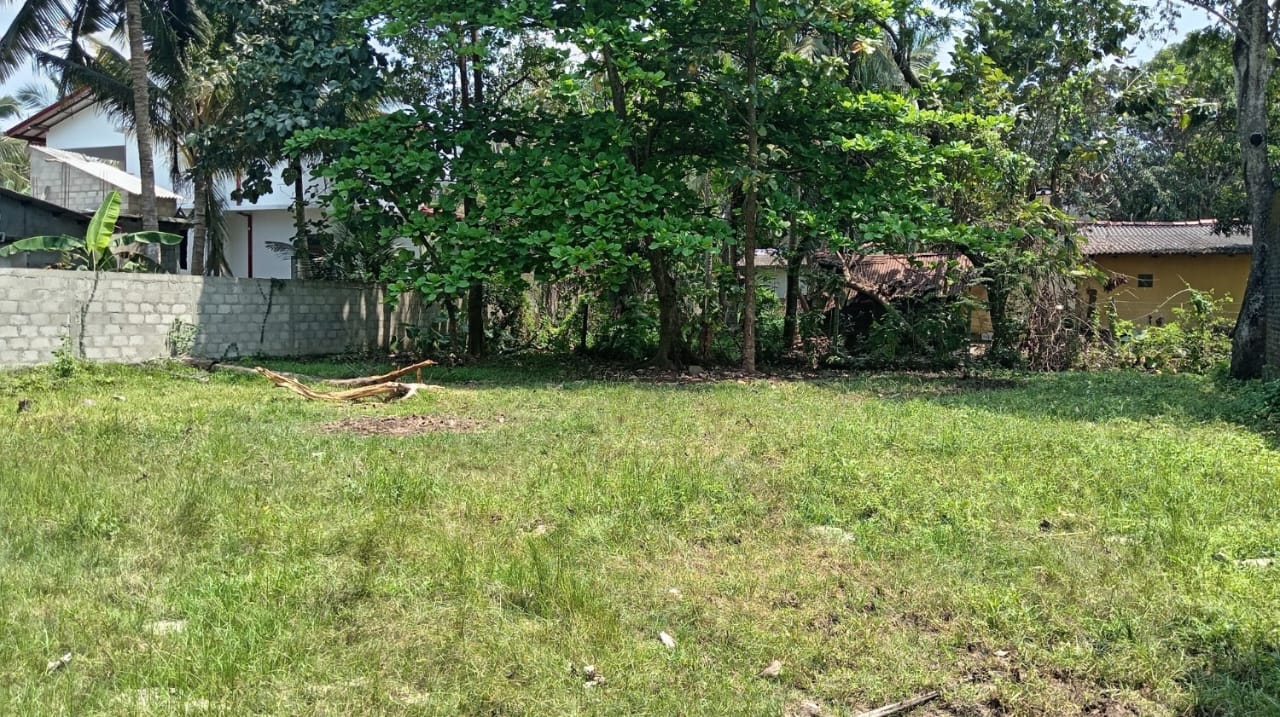 අනුරාධපුර III පියවර. පර්චස් 40 ක ඉඩම විකිණීමට ඇත