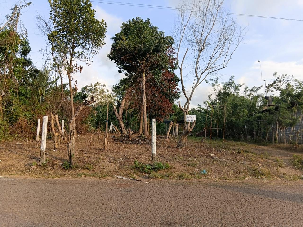 වාද්දුවට නුදුරින් වටිනා ඉඩමක් විකිණීමට ඇත