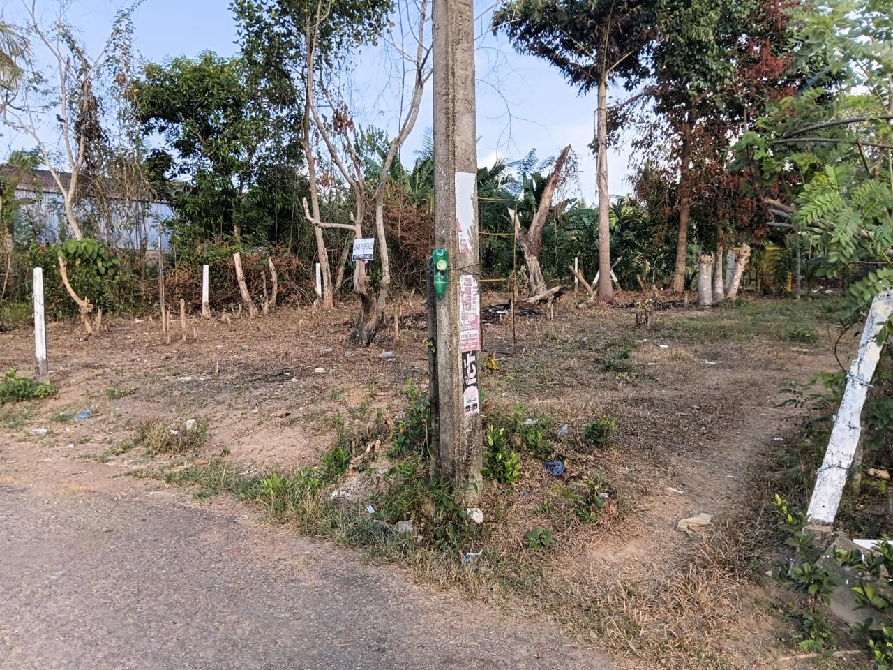 වාද්දුවට නුදුරින් වටිනා ඉඩමක් විකිණීමට ඇත