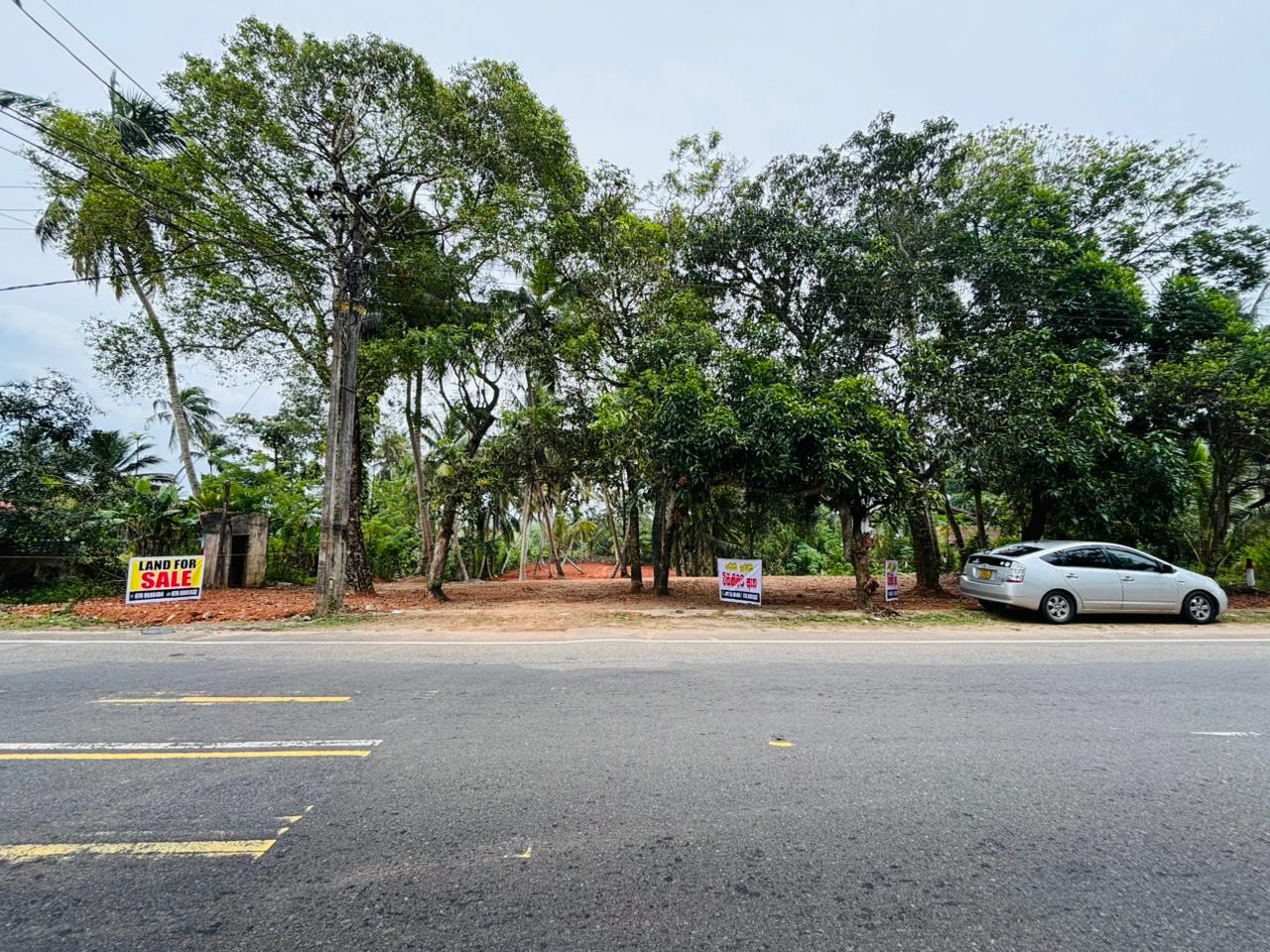 බෙන්තොට ඉඩම් කොටස් විකිණීමට