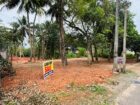 බෙන්තොට ඉඩම් කොටස් විකිණීමට