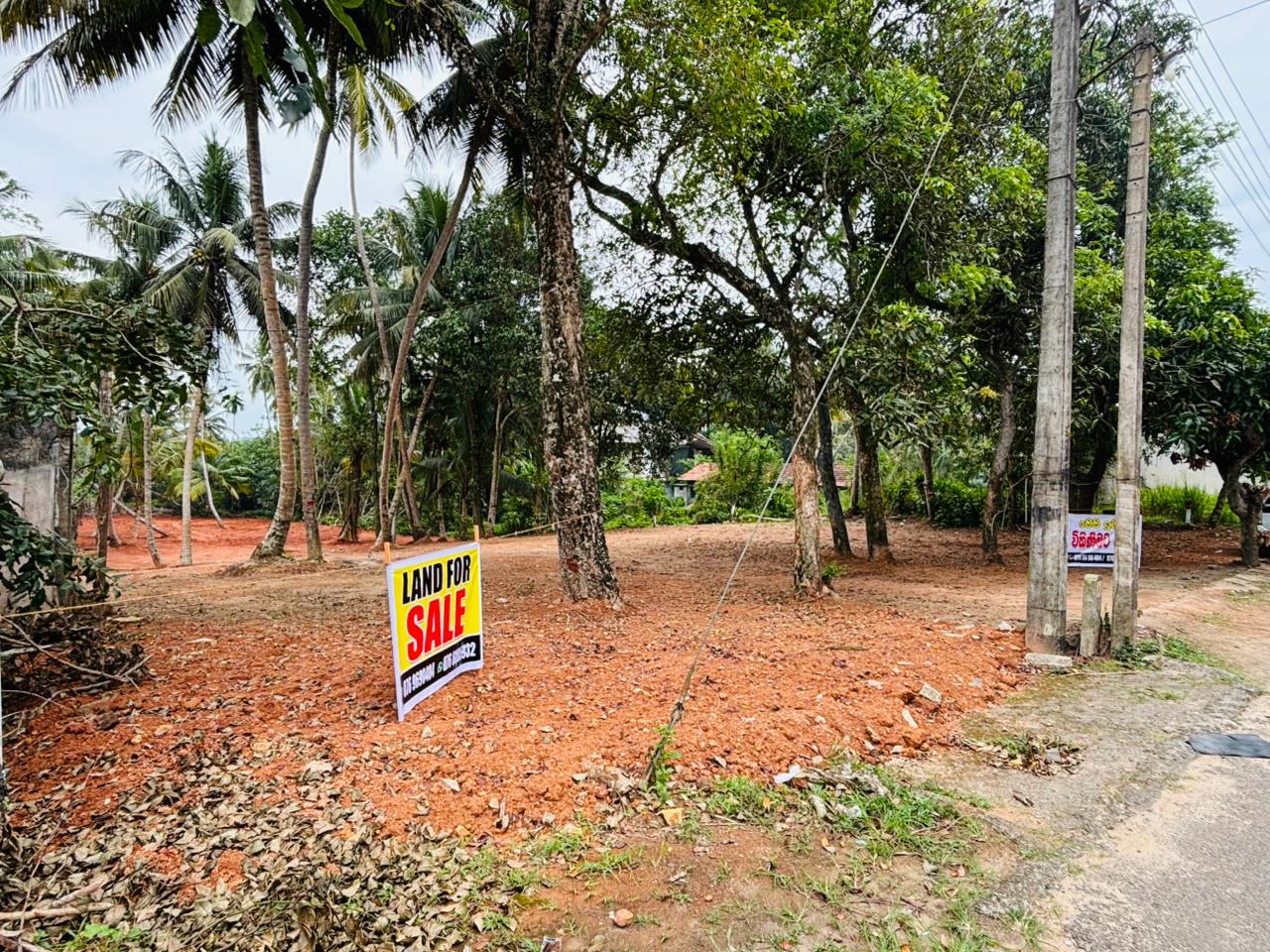 බෙන්තොට ඉඩම් කොටස් විකිණීමට