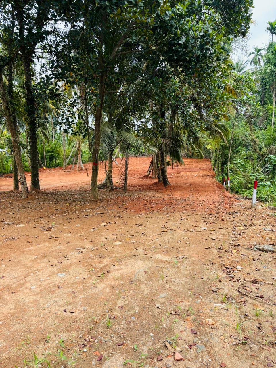 බෙන්තොට ඉඩම් කොටස් විකිණීමට