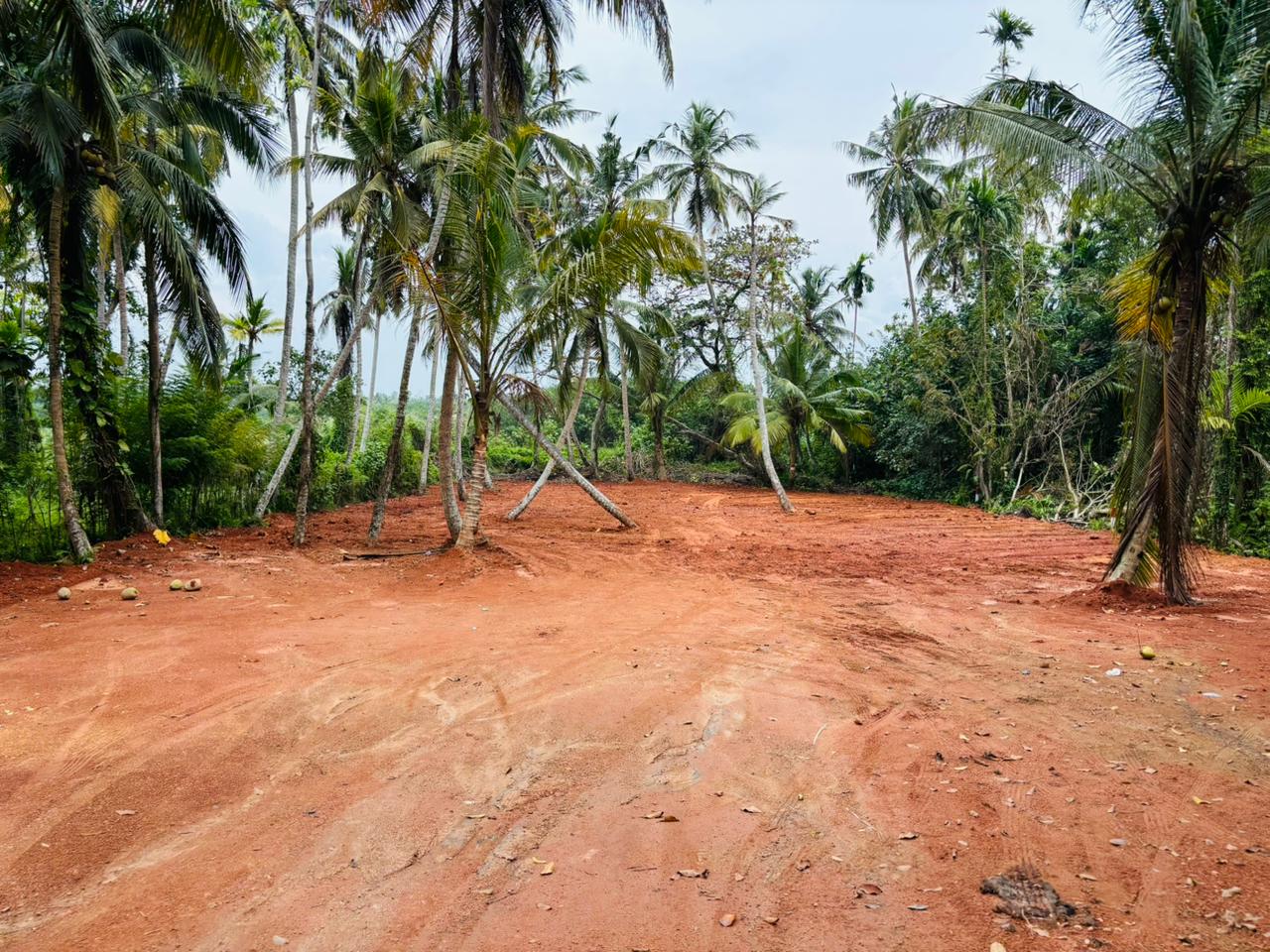 බෙන්තොට ඉඩම් කොටස් විකිණීමට
