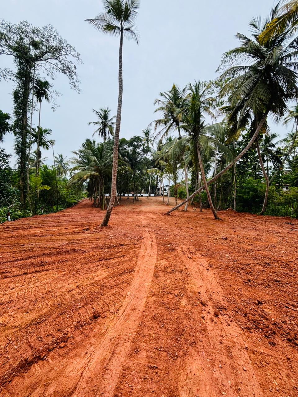 බෙන්තොට ඉඩම් කොටස් විකිණීමට