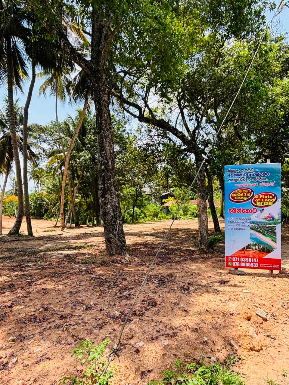 බෙන්තොට ඉඩම් කොටස් විකිණීමට