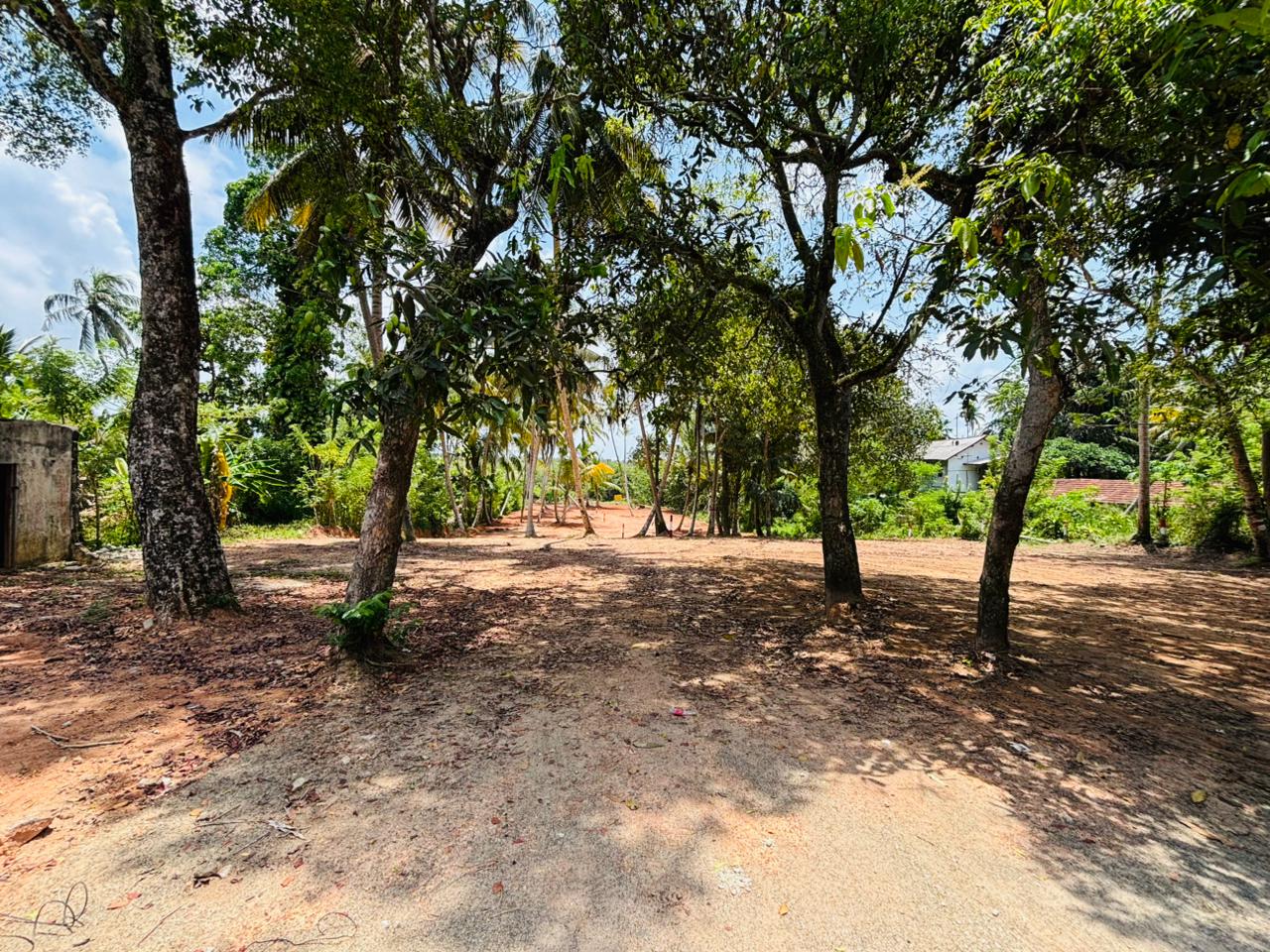 බෙන්තොට ඉඩම් කොටස් විකිණීමට