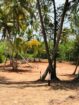 බෙන්තොට ඉඩම් කොටස් විකිණීමට