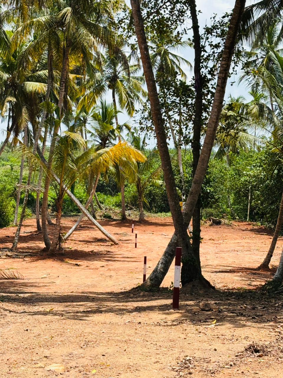 බෙන්තොට ඉඩම් කොටස් විකිණීමට