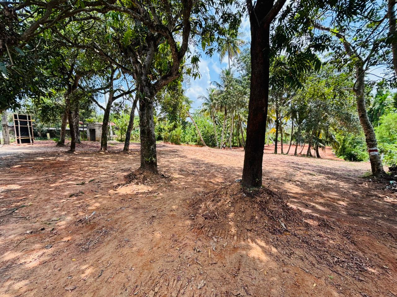 බෙන්තොට ඉඩම් කොටස් විකිණීමට