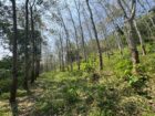 Vannaluwawa Land for Sale