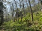 Vannaluwawa Land for Sale