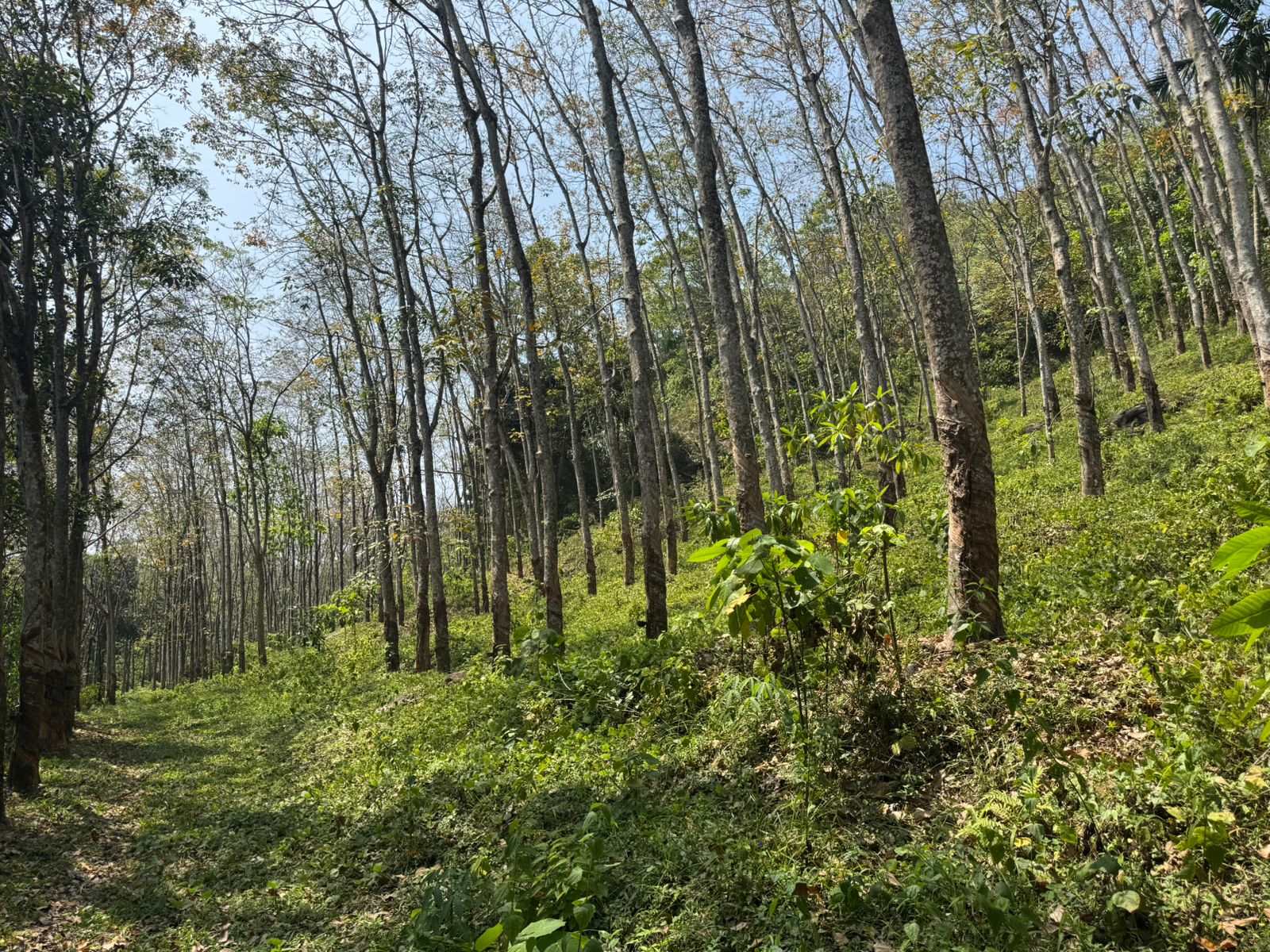 Vannaluwawa Land for Sale