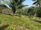 Vannaluwawa Land for Sale