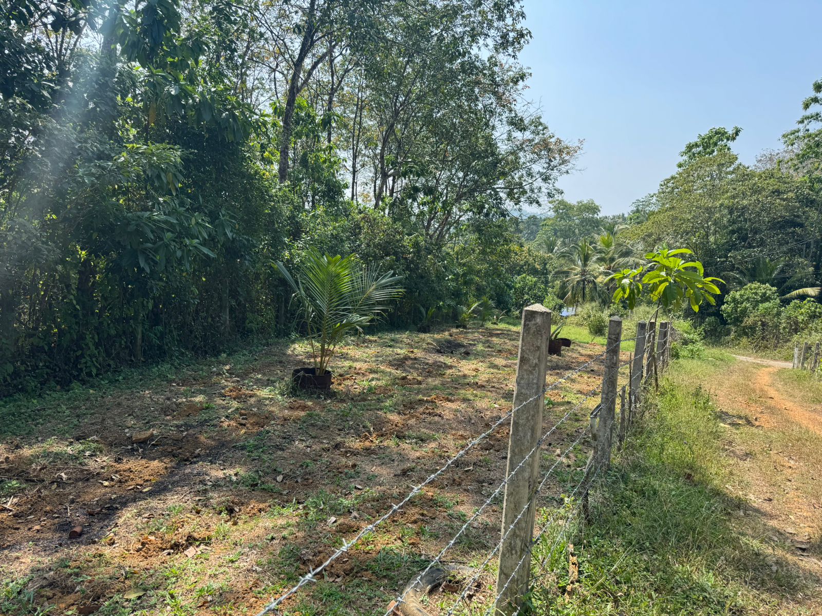 Vannaluwawa Land for Sale