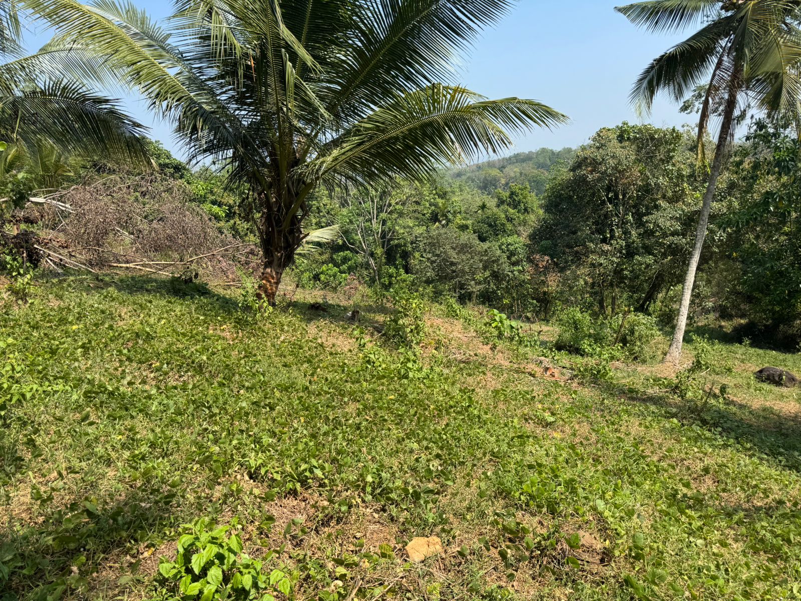 Vannaluwawa Land for Sale