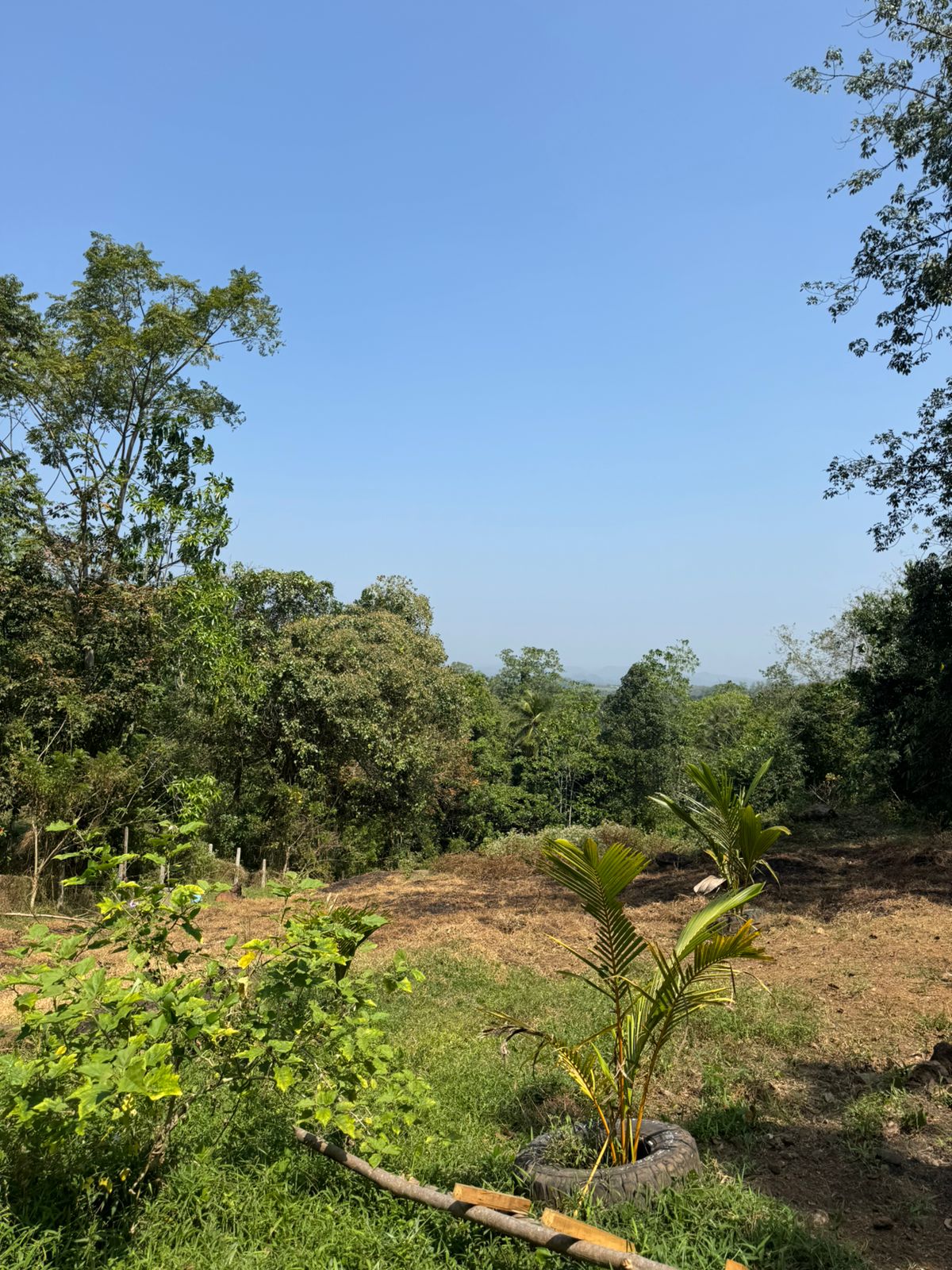 Vannaluwawa Land for Sale