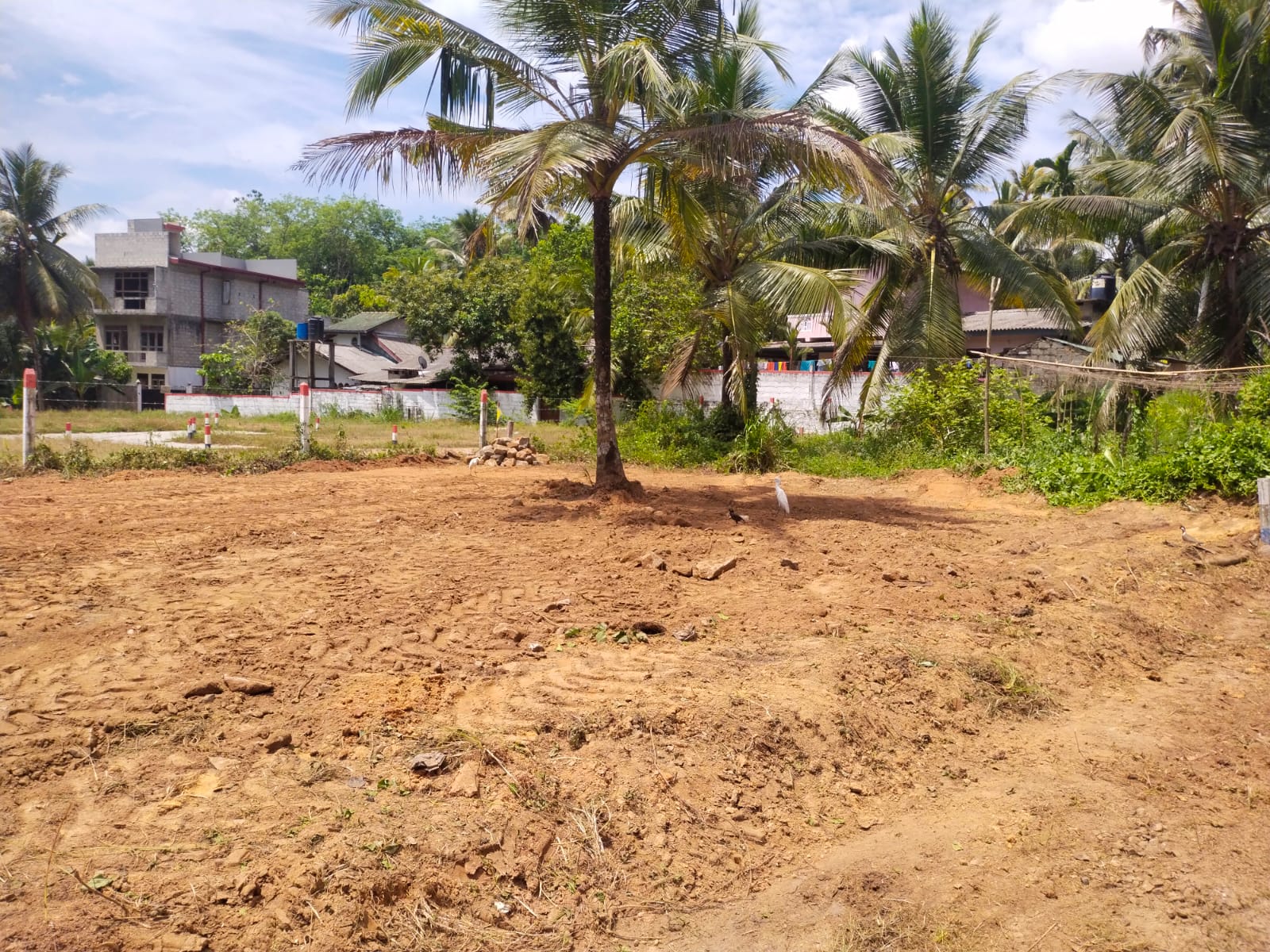 Land for Sale in Homagama Pitipana
