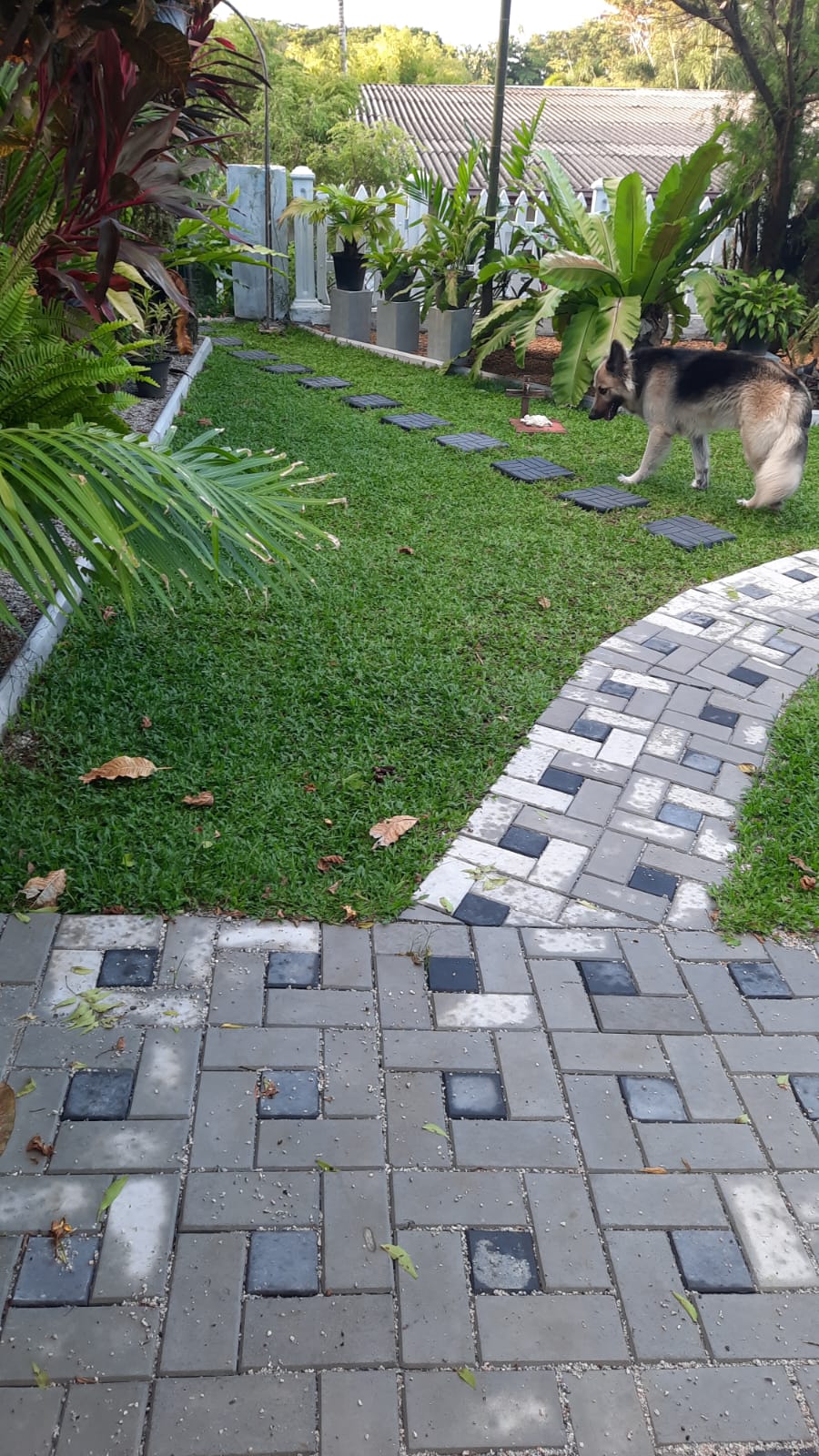 Bungalow Type Beautifully Designed House in Mount Lavinia