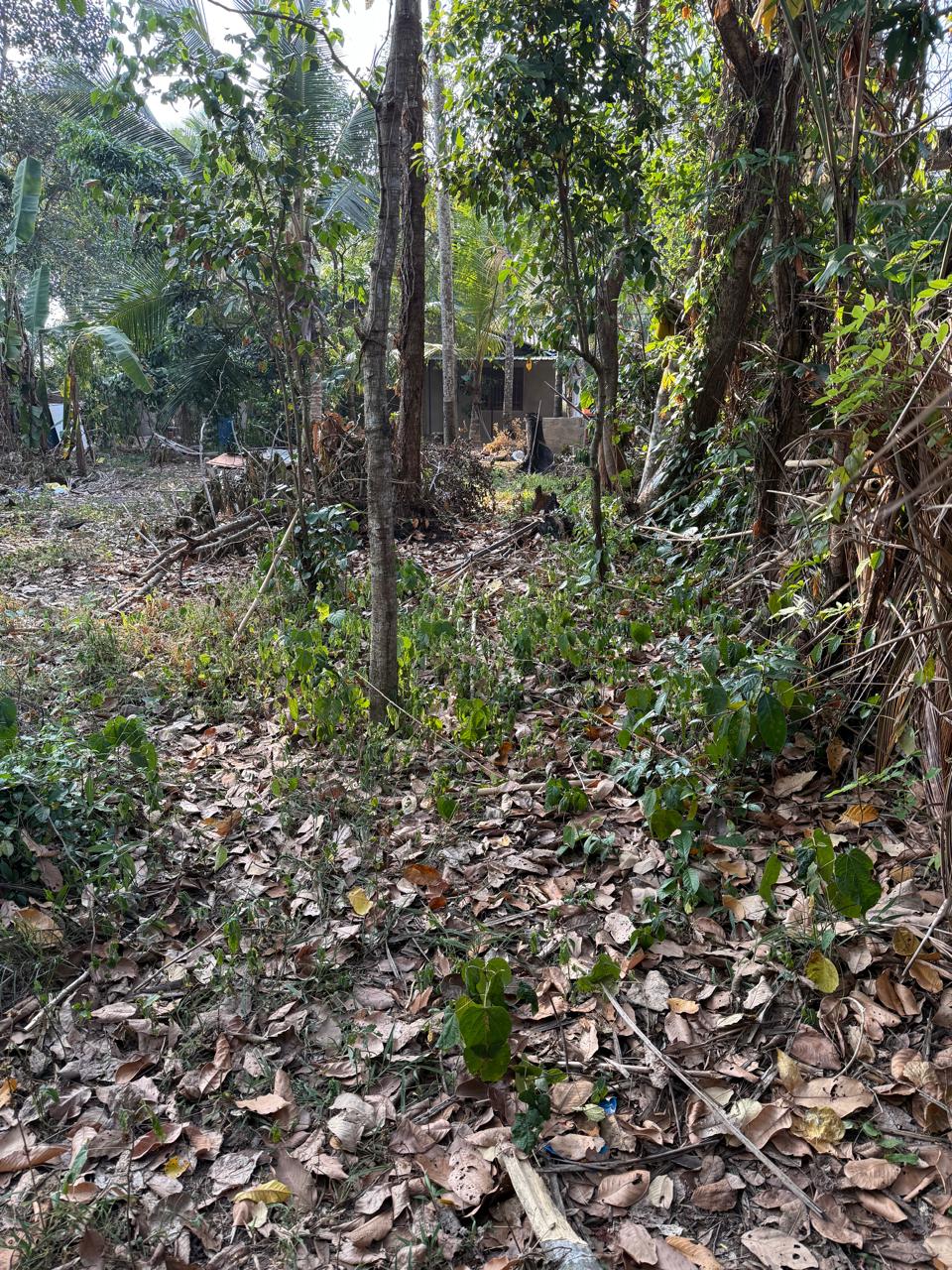 Land for Sale Ganemulla