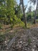 Land for Sale Ganemulla